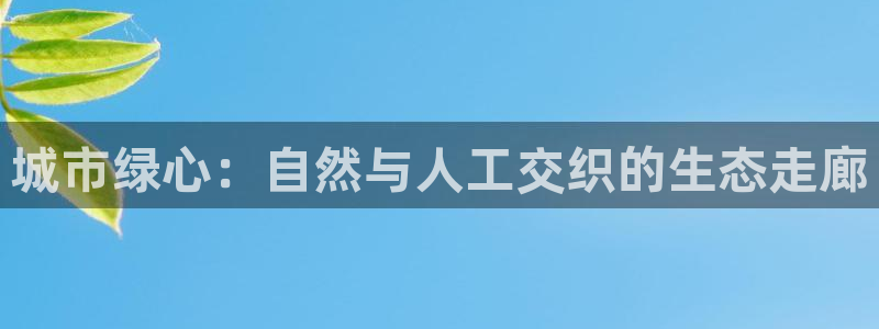 新宝gg辅助