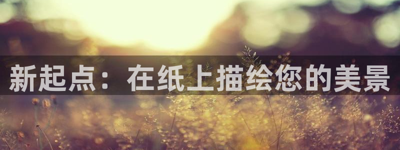 新宝gg招商致胜团队
