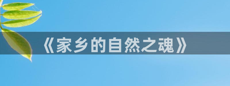 新宝gg登陆新：《家乡的自然之魂》