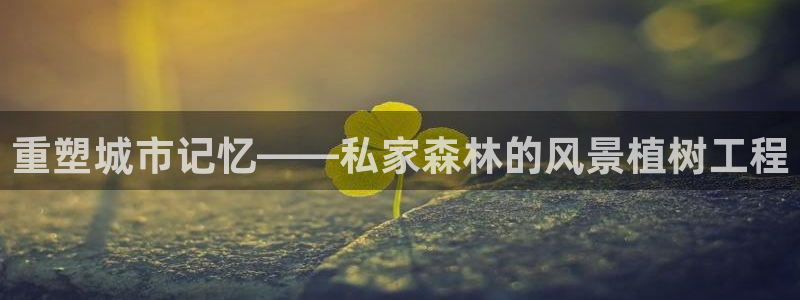 新宝GG 黑钱：重塑城市记忆——私家森林的风景植树工程