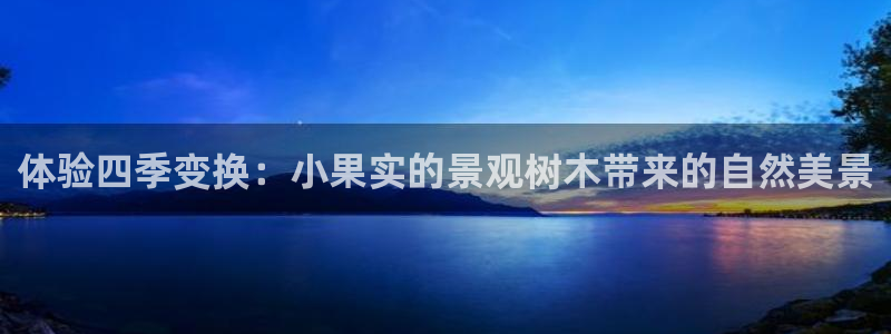 旧版新宝GG