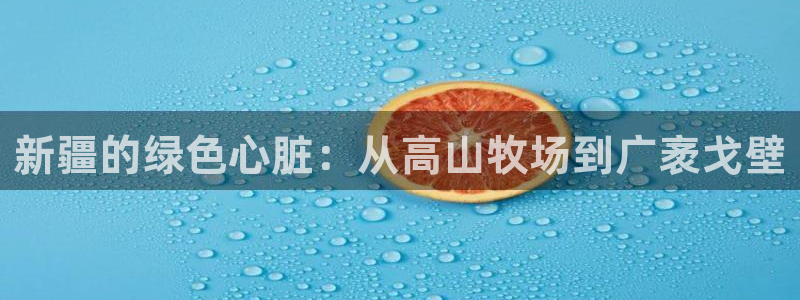 新宝gg怎样