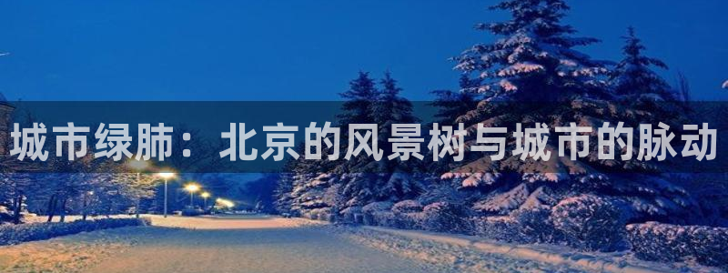 新宝gg主页