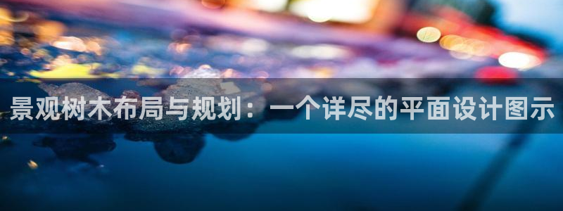 新宝gg待遇