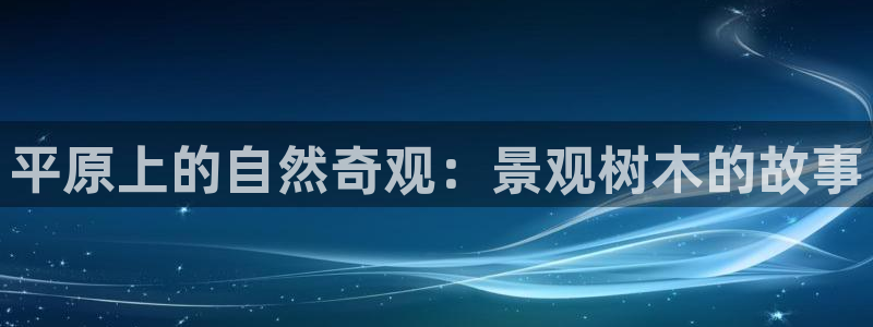 新宝gg地址新宝二