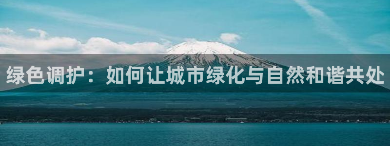 新宝gg玩