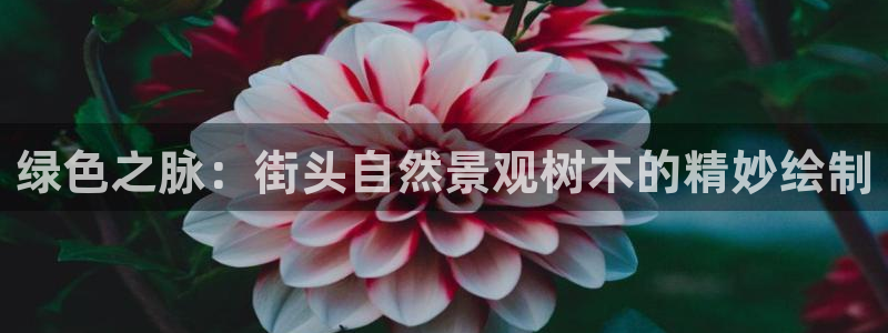 新宝GG专业团队