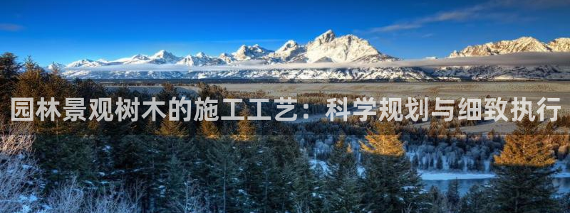 新宝gg 创造奇迹